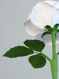 The underneath of the white lace printed paper rose showing the ivy green calyx with the green stem and the back of the ivy green crepe paper leaves